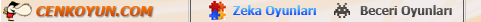 Zeka Oyunlar� - Beceri Oyunlar�