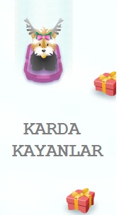 Karda Kayanlar