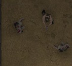 Zombi Uyanışı